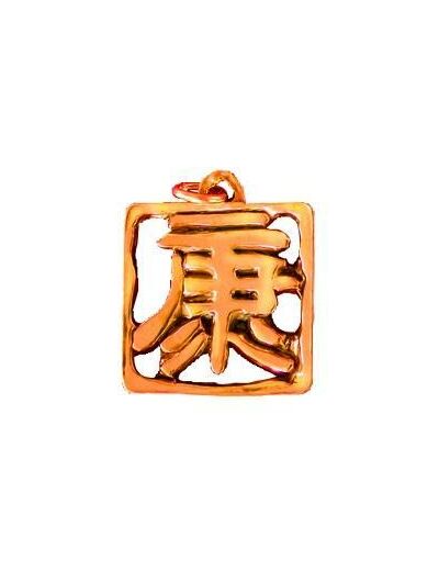 Pendentif Feng shui "Caractère de la santé"