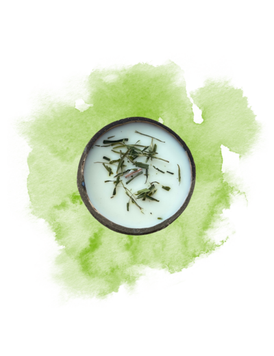 Menthe-Verveine