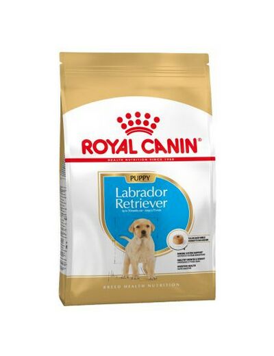 Royal canin Labrador Junior - 12kg