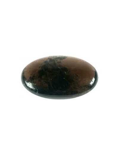 Galet en Shungite