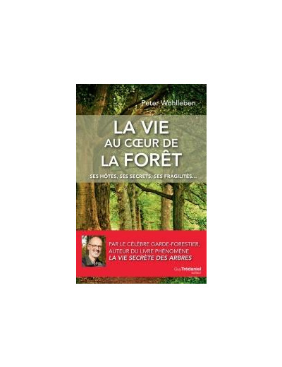 La vie au cœur de la forêt