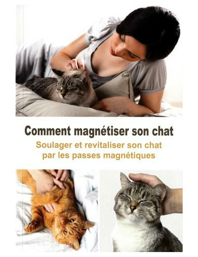 Comment magnétiser son chat - Soulager et revitaliser son chat par les passes magnétiques