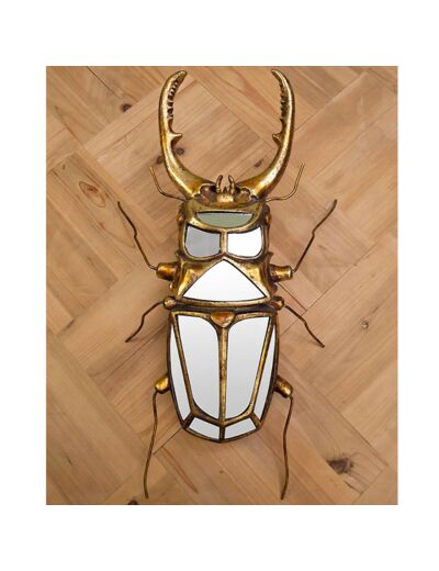 Miroir scarabée à pinces 43x5x22cm