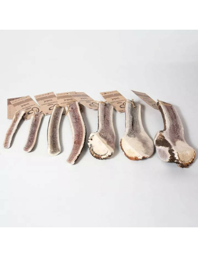 Bois de cerf tranché pour chiens