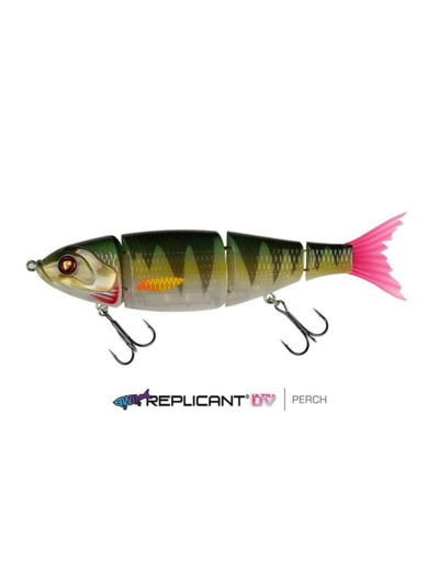 swims perch fox rage