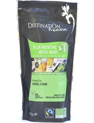 The vert menthe 100g Destination Premium