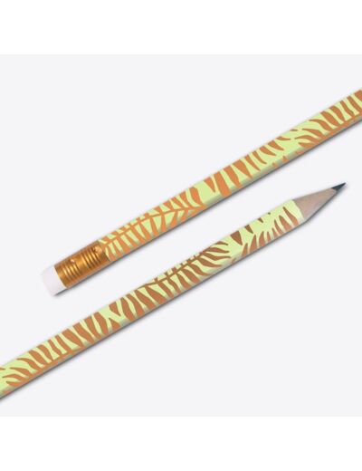 Crayons Fantaisie Palm Vert Nacré - Editions du Paon