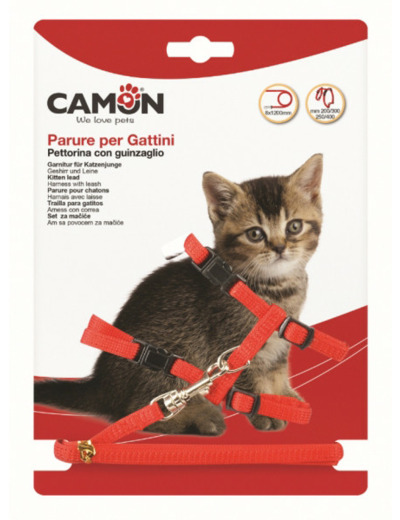 Harnais + laisse en nylon pour chaton - 1,2m de long