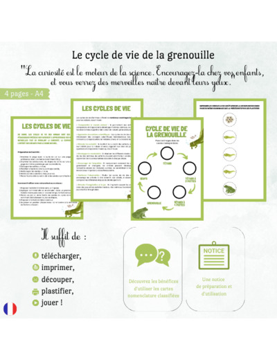 Cycle de vie de la grenouille 🐸