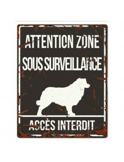 Plaque "Attention" Border collie - 4 formats