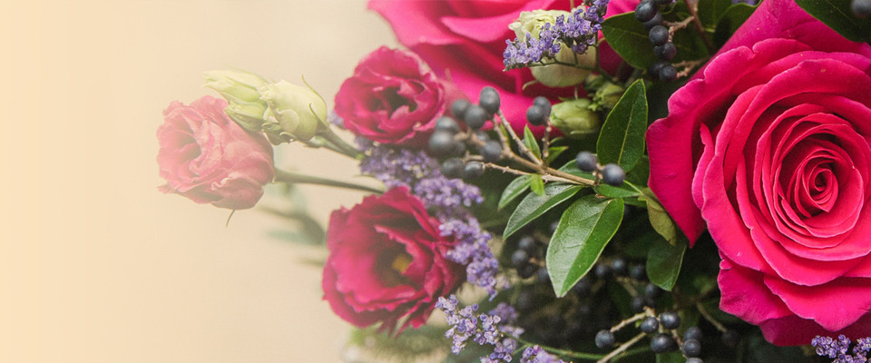 photo du magasin du marchand Canopée