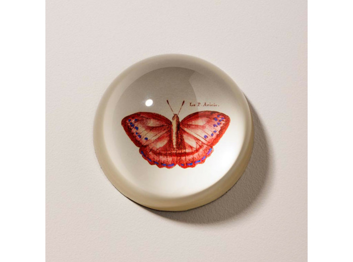 Presse papier papillion rouge verre 4x8x8cm