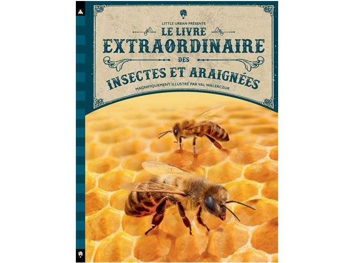 Le livre extraordinaire des insectes et araignées