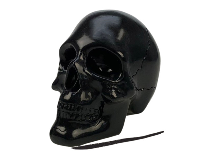Crâne Noir ICD Collections - Cabinet de curiosité