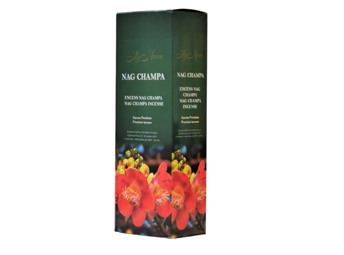 6 étuis Hexagonaux de 20 bâtons d'Encens - NAG CHAMPA
