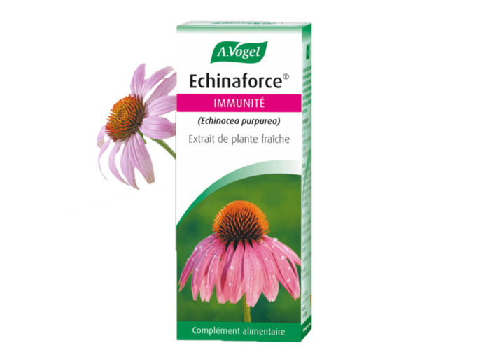 Echinaforce-50ml-Vogel
