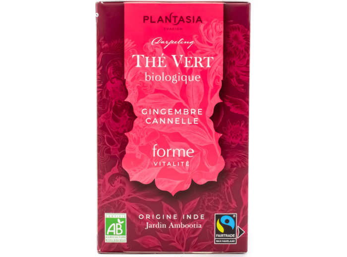 Thé Vert Gingembre Cannelle Bio 18 sachets