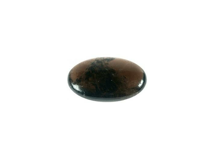 Galet en Shungite