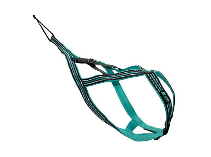 Harnais CANI GEAR, Olympia - 5 tailles disponibles