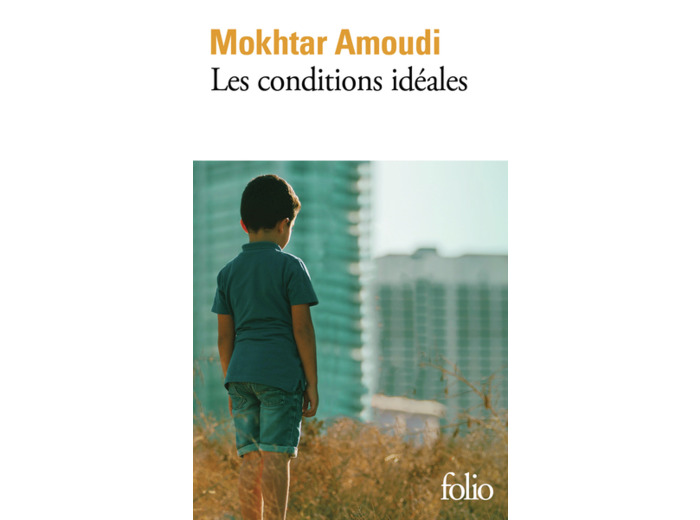 LES CONDITIONS IDEALES