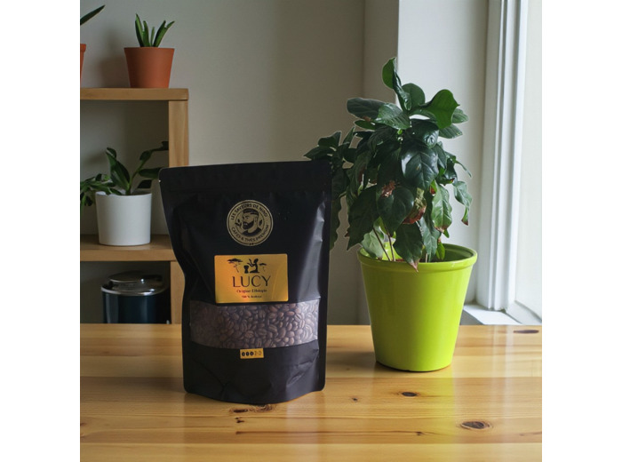 Lucy - Origine Ethiopie