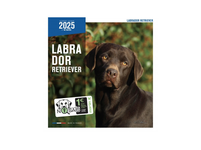 Calendrier chien 2025 - Labrador - Martin