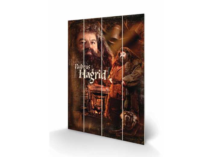 Grande impression sur bois Hagrid - Harry Potter