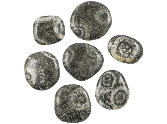Pierre plate Diorite orbiculaire
