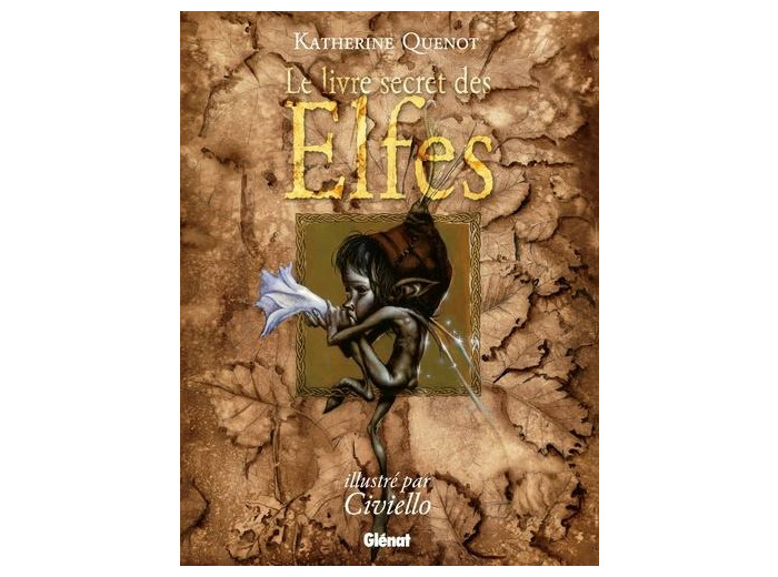 Le livre secret des Elfes
