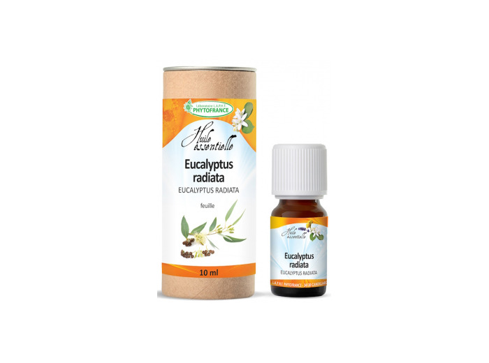 Huile essentielle Eucalyptus Radiata Bio 10 ml Phytofrance