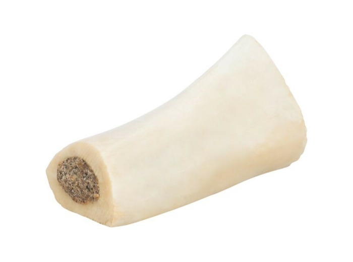 Os de tibia pour chien