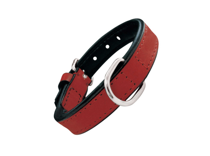 Collier en cuir Rouge pour chiens - 55 cm x 25 mm