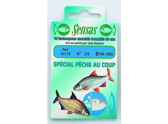 10 hamecons mont?s peche coup