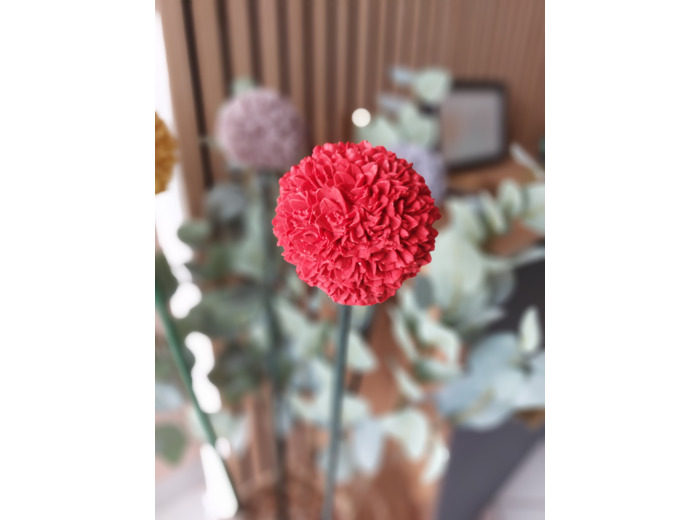 Ail d'ornement décoratif pour jardin