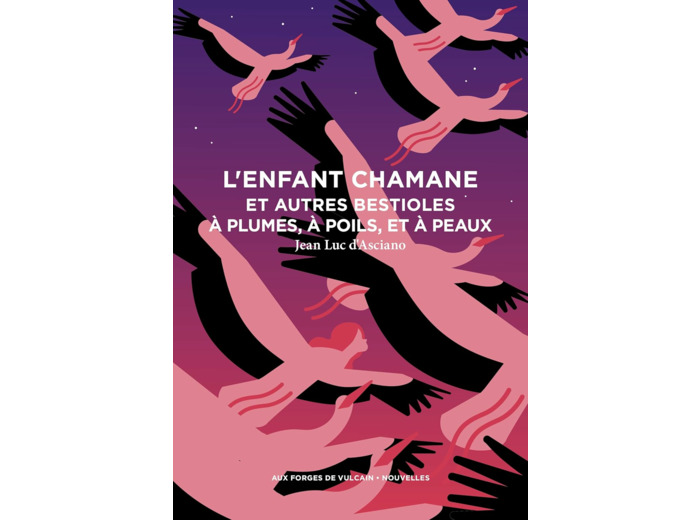 L'ENFANT CHAMANE ET AUTRES BESTIOLES A PLUMES, A POILS, ET A PEAUX