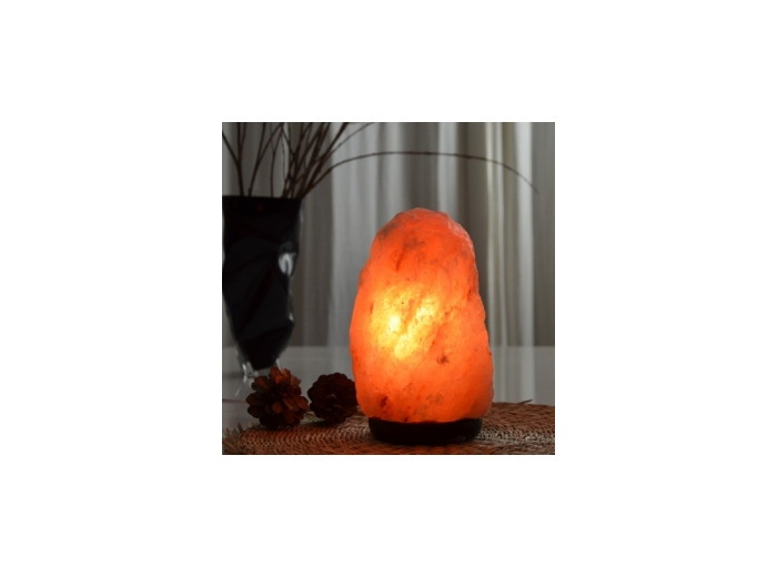 Lampe en Cristal de Sel d'Himalaya de 2 à 3 kg