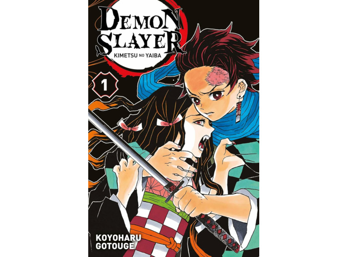 DEMON SLAYER T01