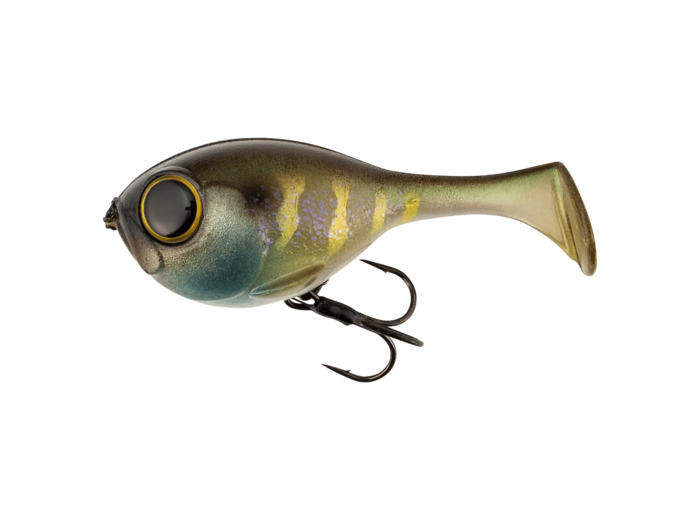 deraball etto noike gill illex