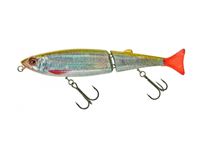 freddy 170cw noisy illex