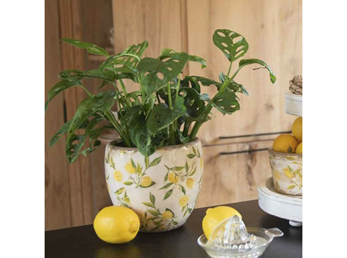 Pot de fleurs Lemon jaune céramique 13x13x12cm