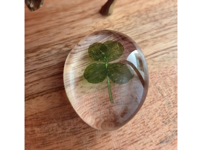 Galet de trèfle à 4 feuilles