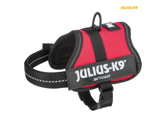 Harnais Julius-K9