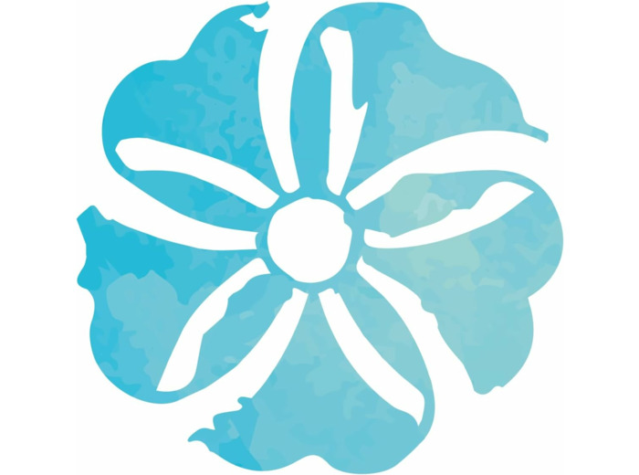 BOISSON EPEAUTRE 1L Isola Bio