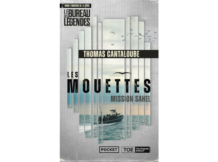 LES MOUETTES - MISSION SAHEL