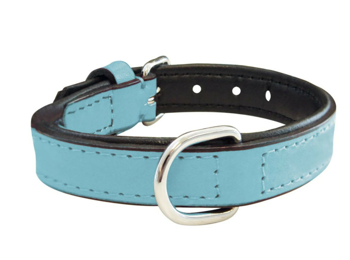 Collier en cuir, AZUR pour chiens - 2 tailles différentes