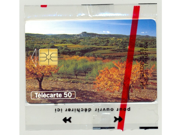 TELECARTE NSB 50 UNITE 10/94 AUTOMNE F512B