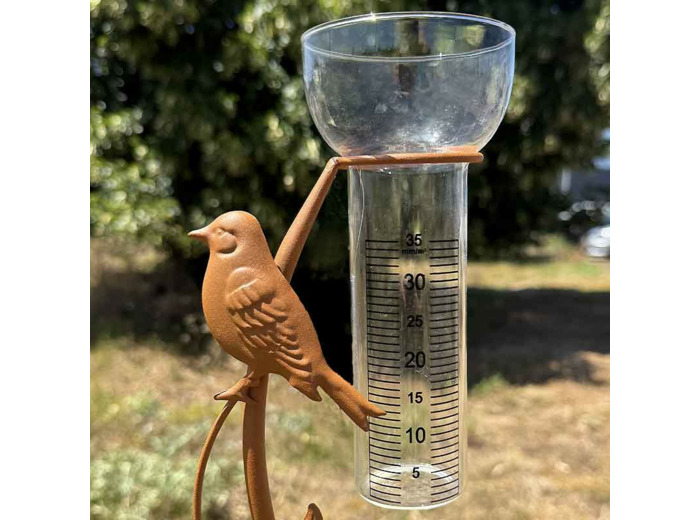 Pluviomètre oiseaux fer 18x6x100cm