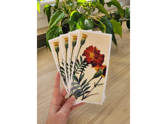 Carte fleur de naissance - Octobre