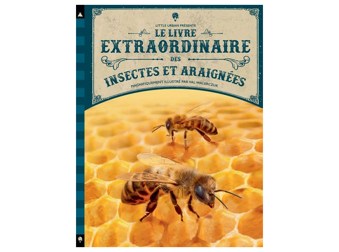Le Livre extraordinaire des insectes et araignées