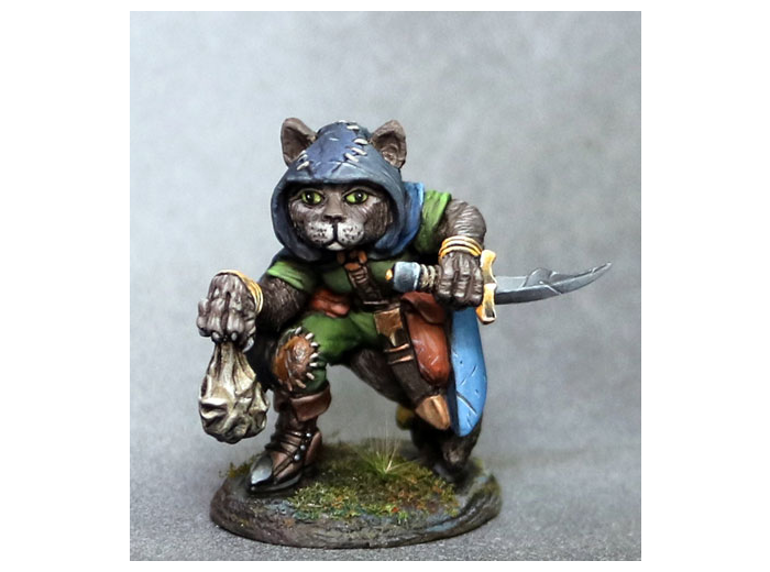 Fantasy : Asha, Cat Rogue